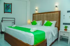 image-slider-with-thumbnail1.jpeg